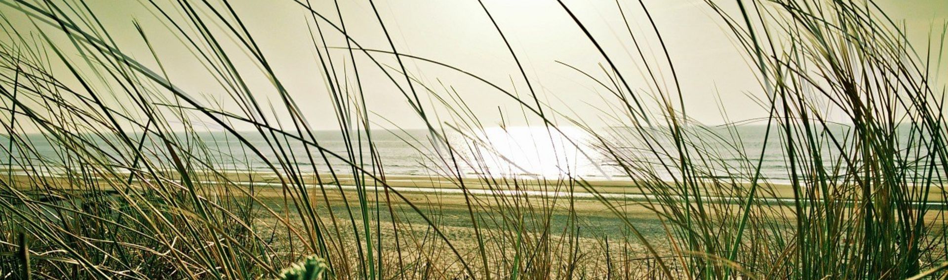 Campingplatz Nordsee